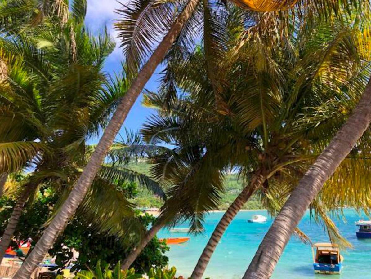 Bequia Beachfront Villa Hotel Friendship Luaran gambar