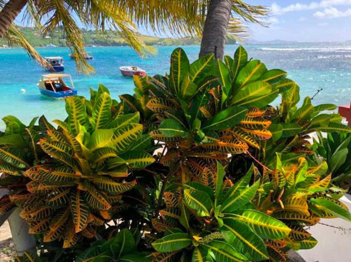 Bequia Beachfront Villa Hotel Friendship Luaran gambar